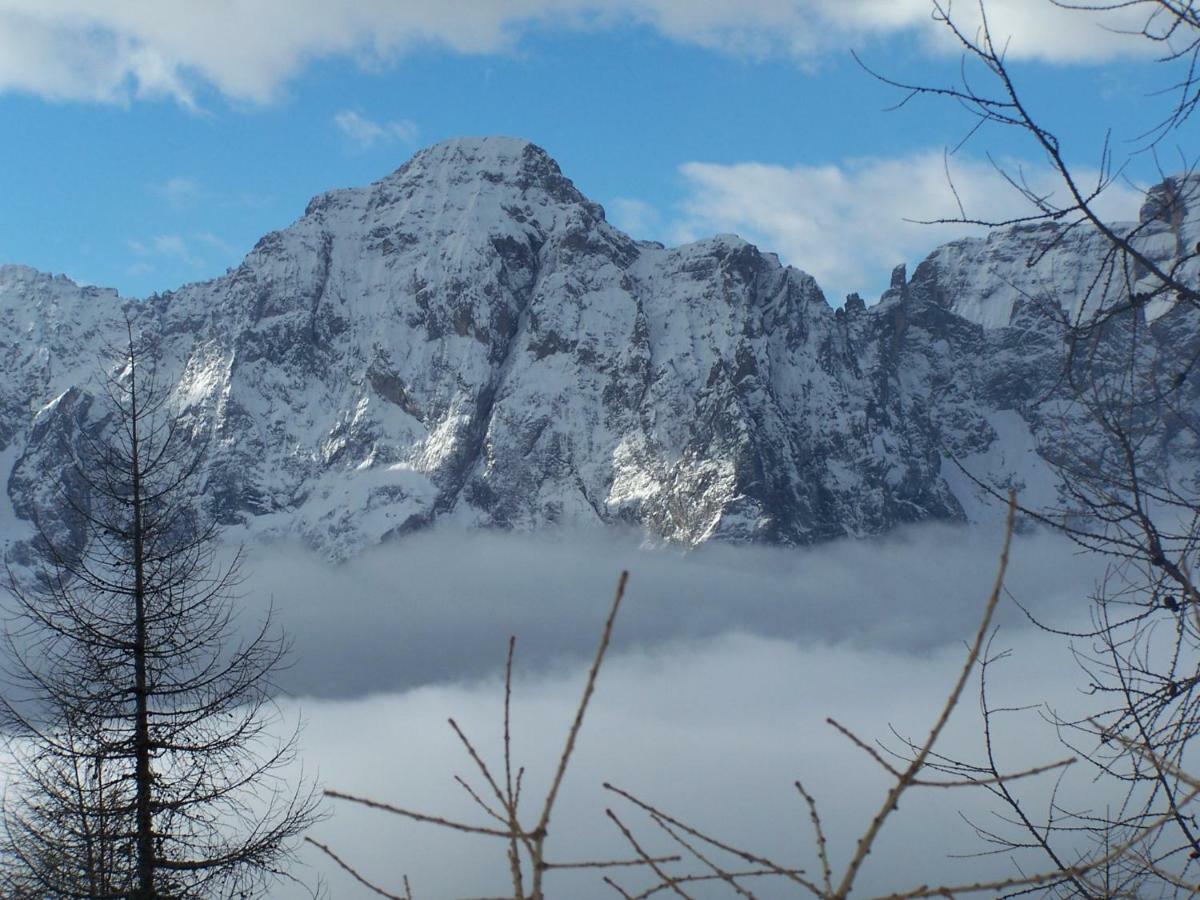 Balcone Sulle Dolomiti Lejlighed Comèlico Superiore Eksteriør billede