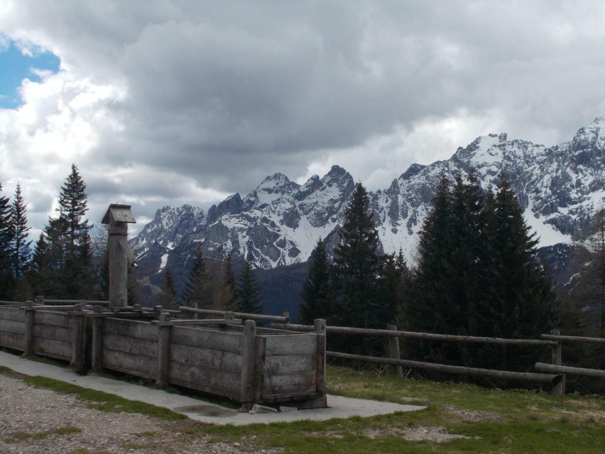 Balcone Sulle Dolomiti Lejlighed Comèlico Superiore Eksteriør billede