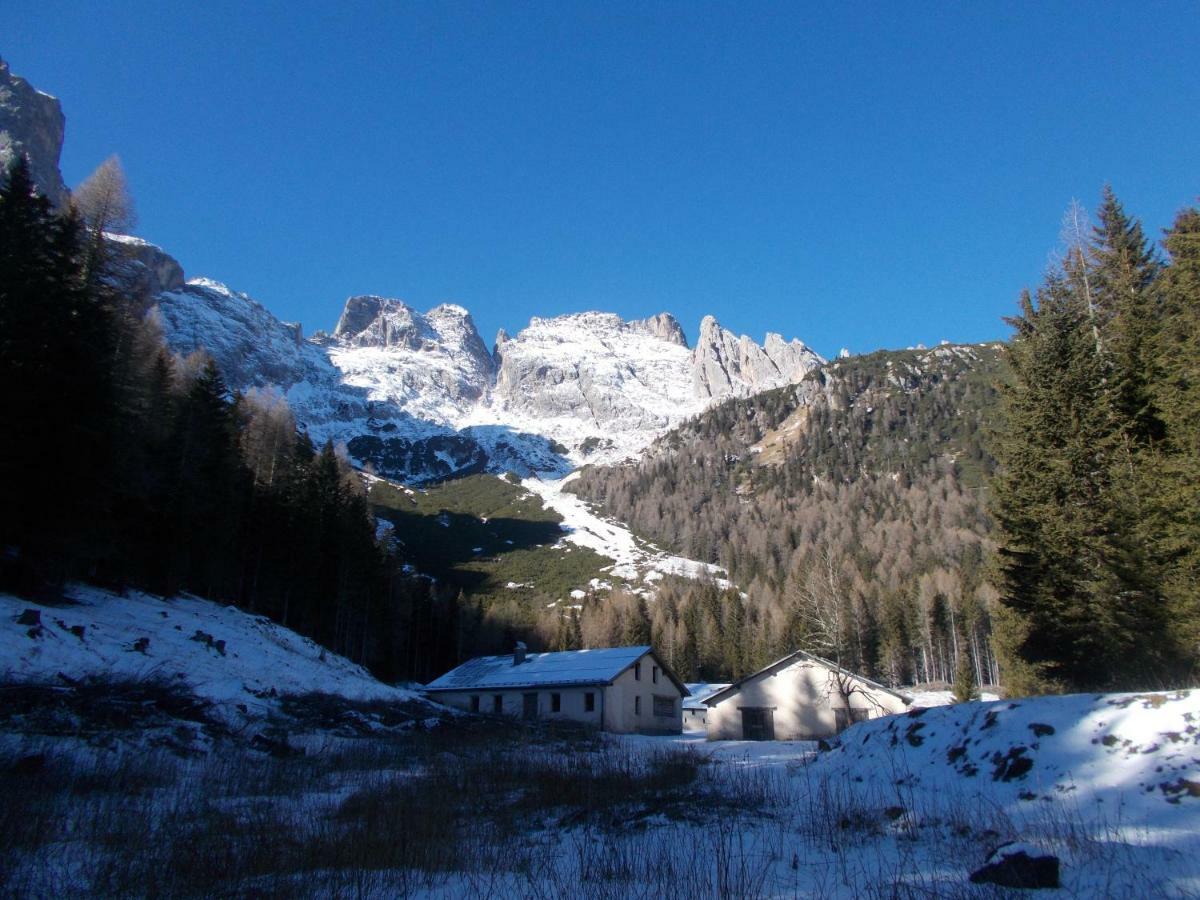 Balcone Sulle Dolomiti Lejlighed Comèlico Superiore Eksteriør billede