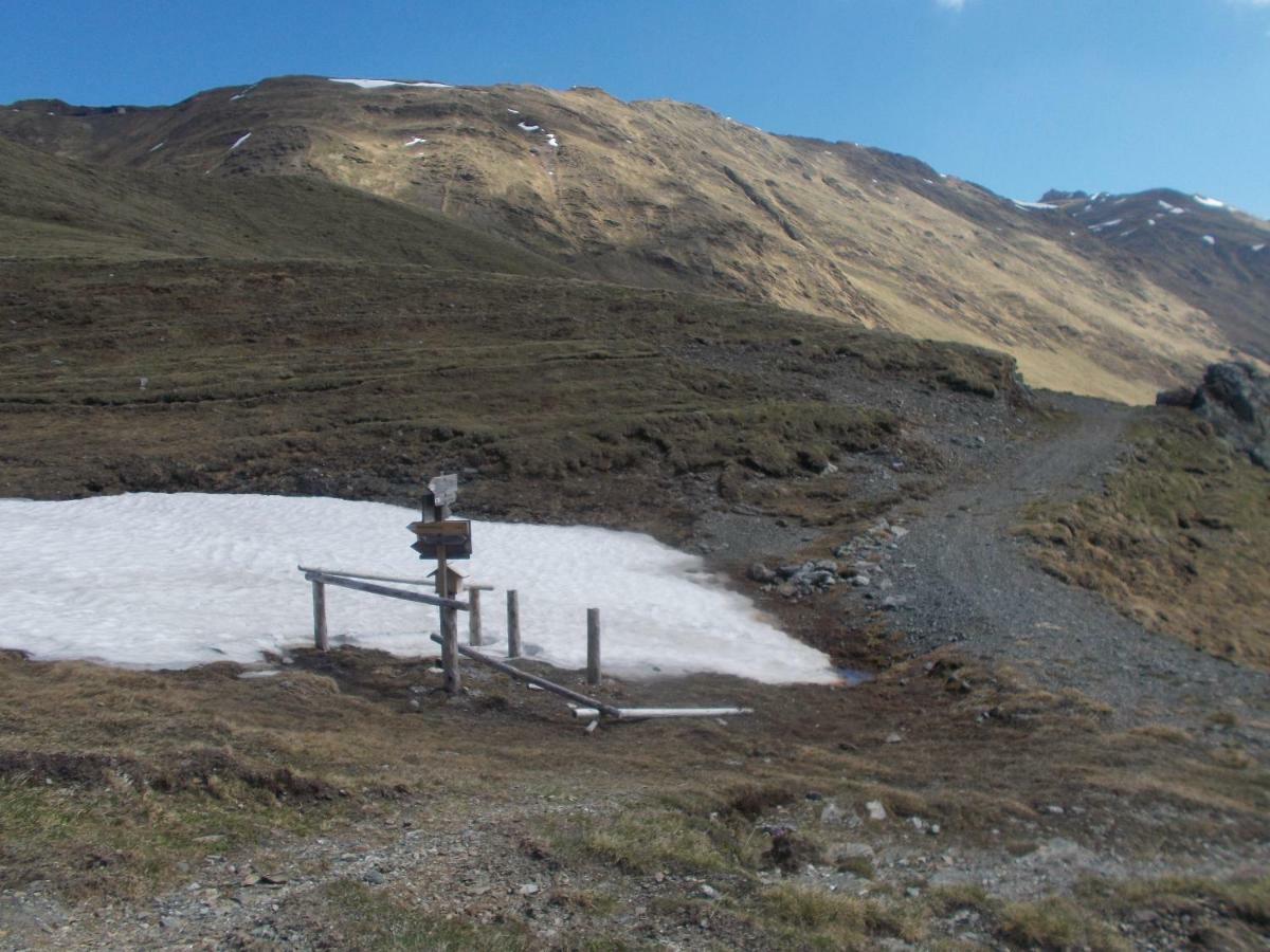 Balcone Sulle Dolomiti Lejlighed Comèlico Superiore Eksteriør billede