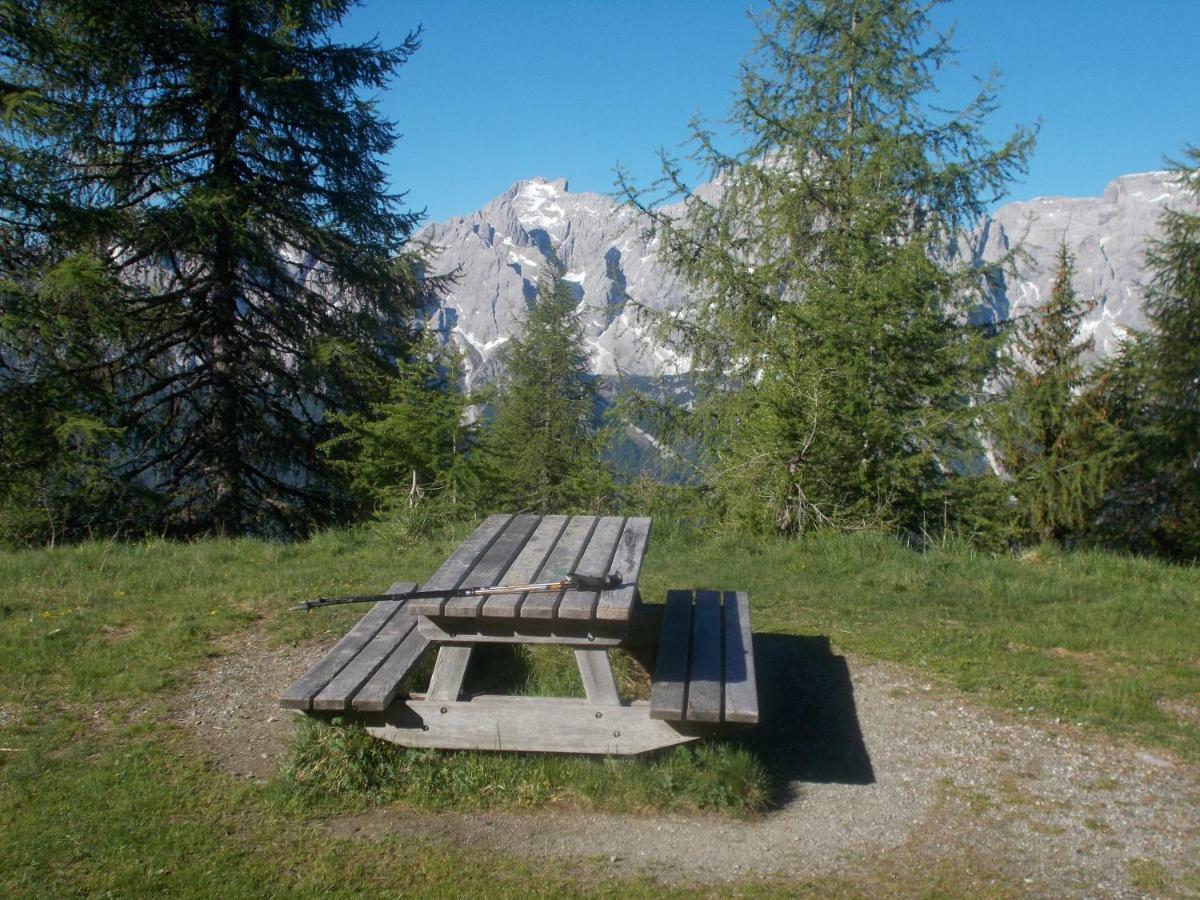 Balcone Sulle Dolomiti Lejlighed Comèlico Superiore Eksteriør billede