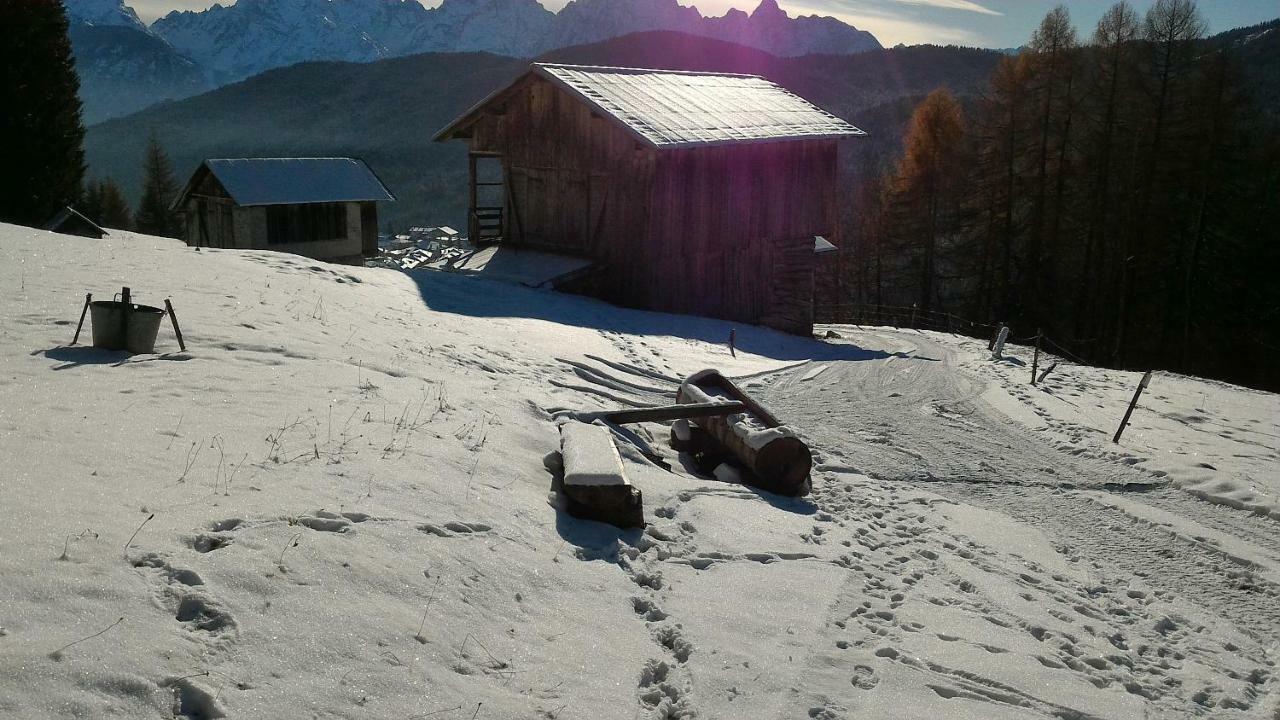 Balcone Sulle Dolomiti Lejlighed Comèlico Superiore Eksteriør billede
