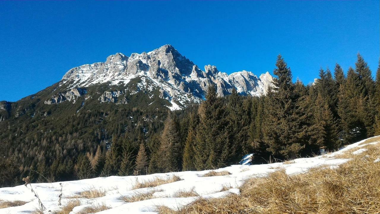 Balcone Sulle Dolomiti Lejlighed Comèlico Superiore Eksteriør billede